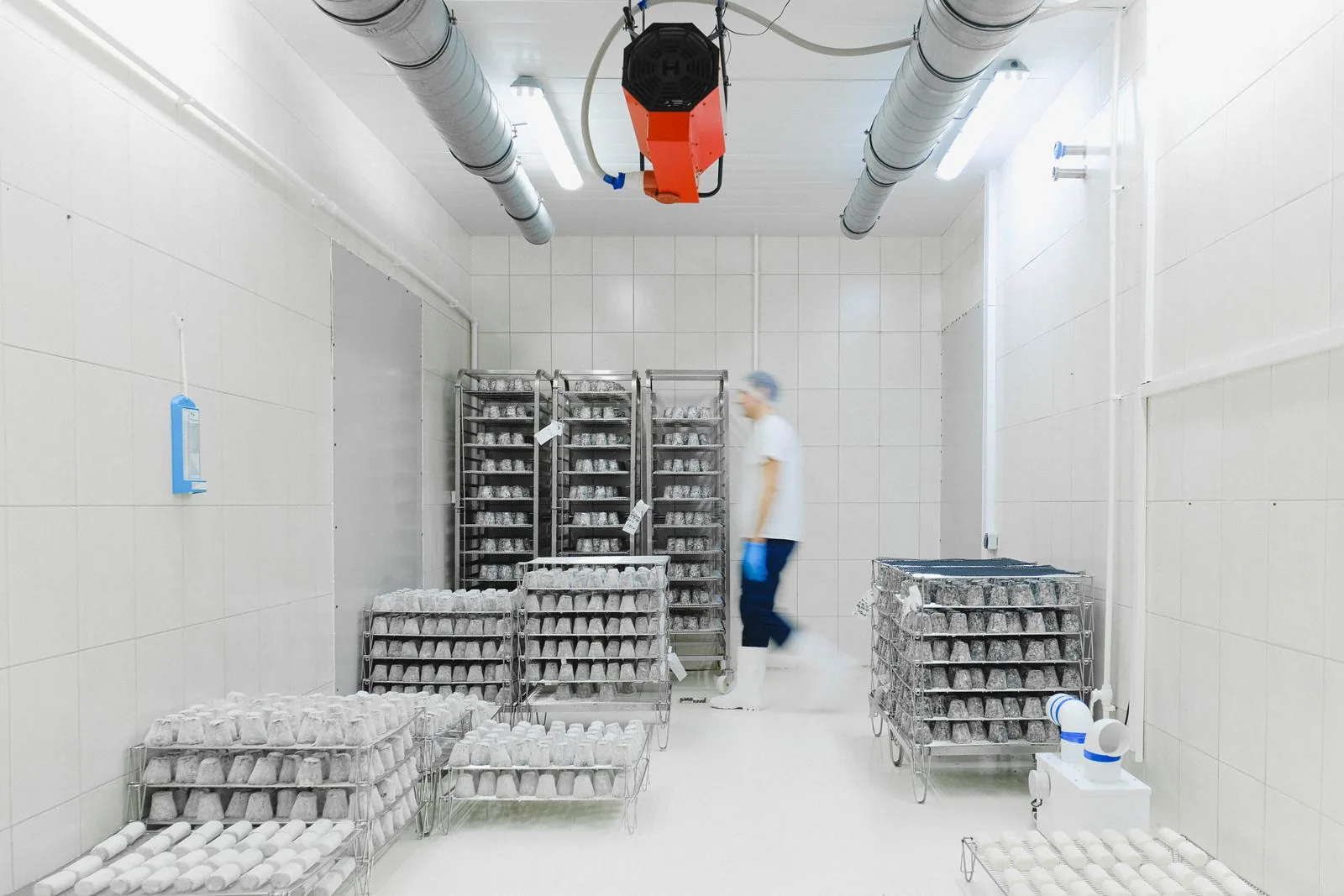 Worker moving through a temperature-controlled food storage room